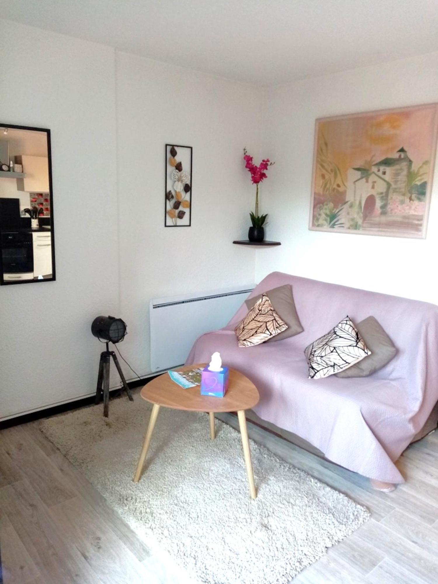 Cabourg Agreable T2 Residence Calme - Terrasse 20M2 - Animaux Bienvenus Exterior foto